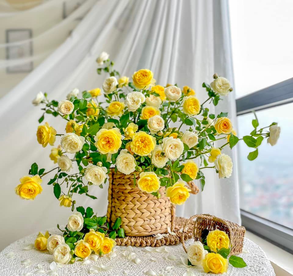 Tử vi ngày 1/8/2022 của 12 cung hoàng đạo